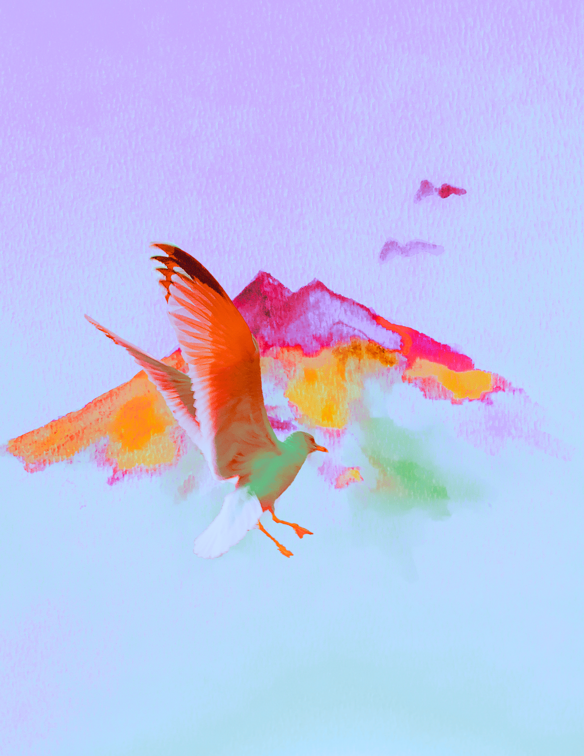 Birds Flying Highhhh