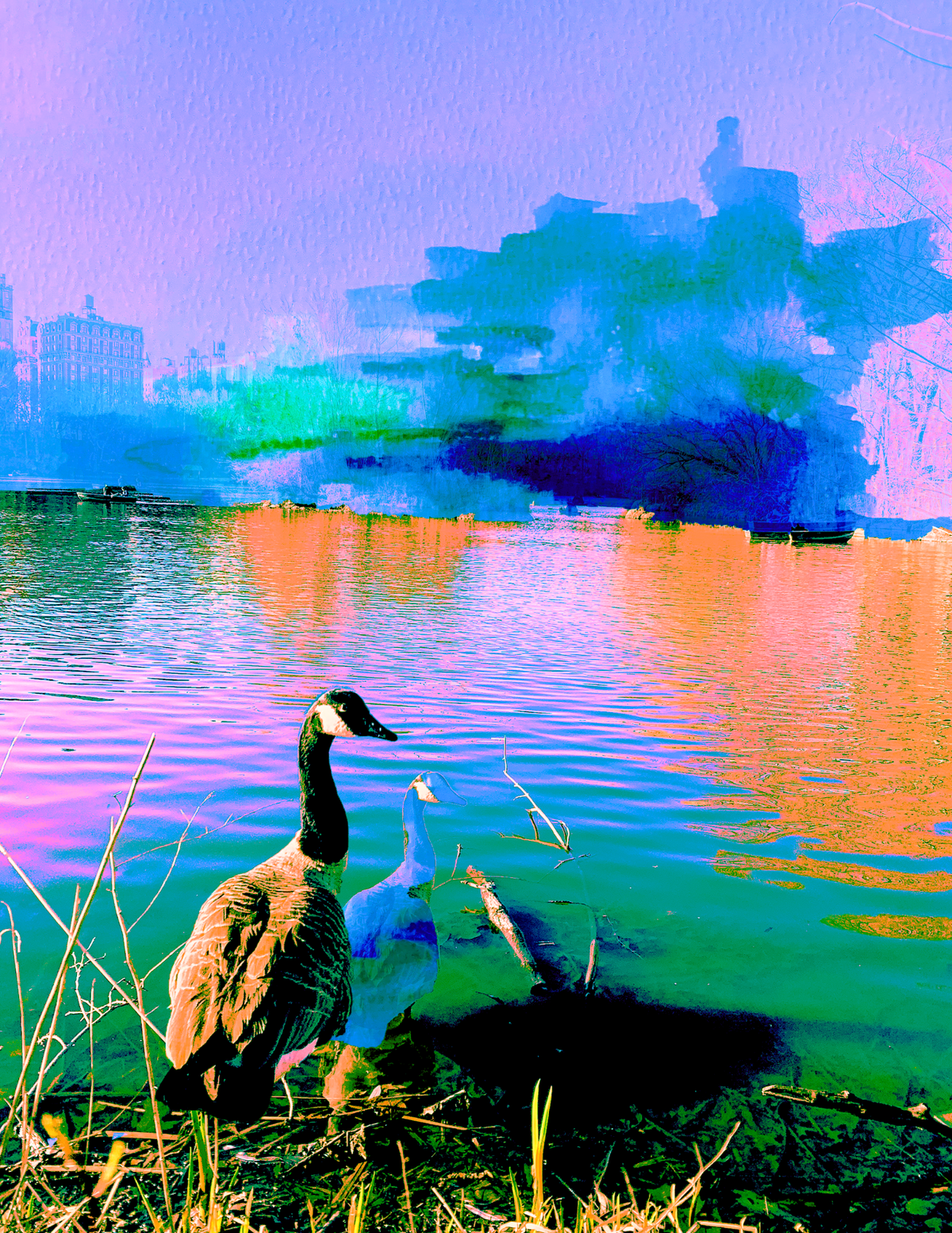 The Birds are Calm, Why Aren't I??