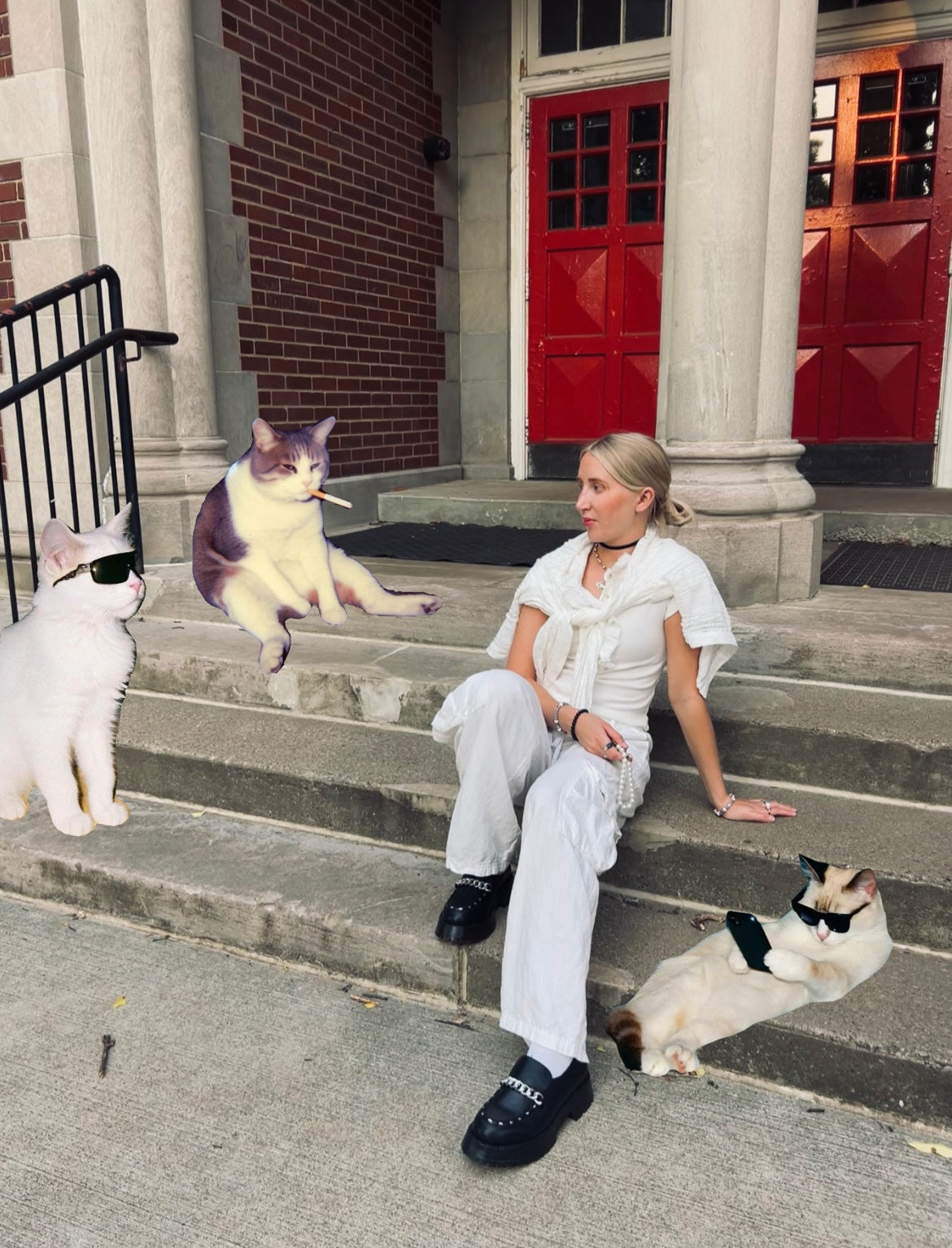 Talking to Cats, It's Normal