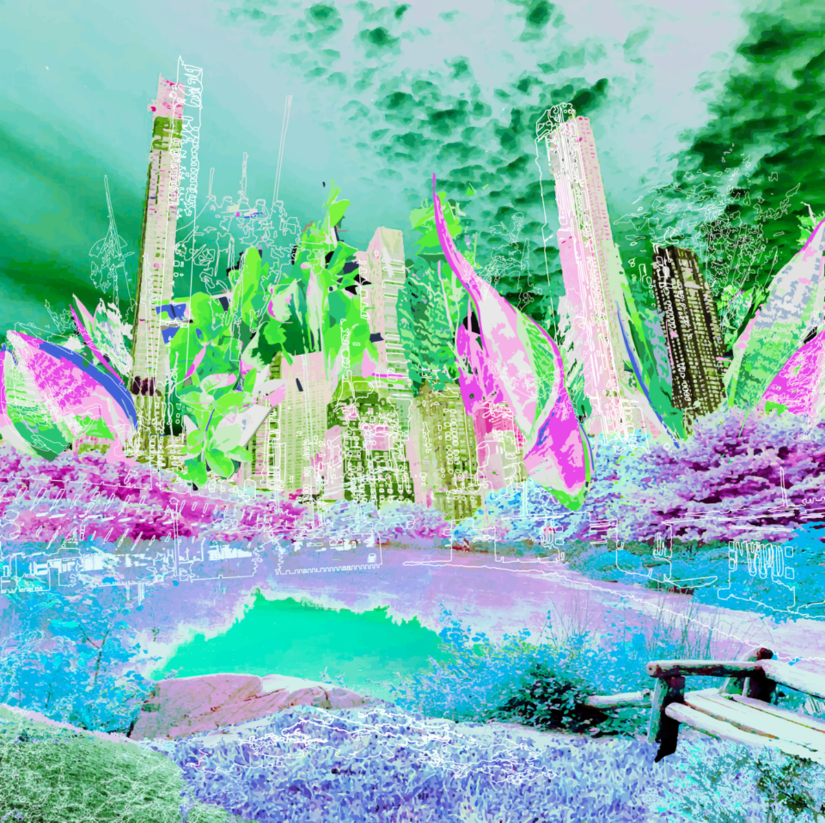 NYC NEEDS NATURE