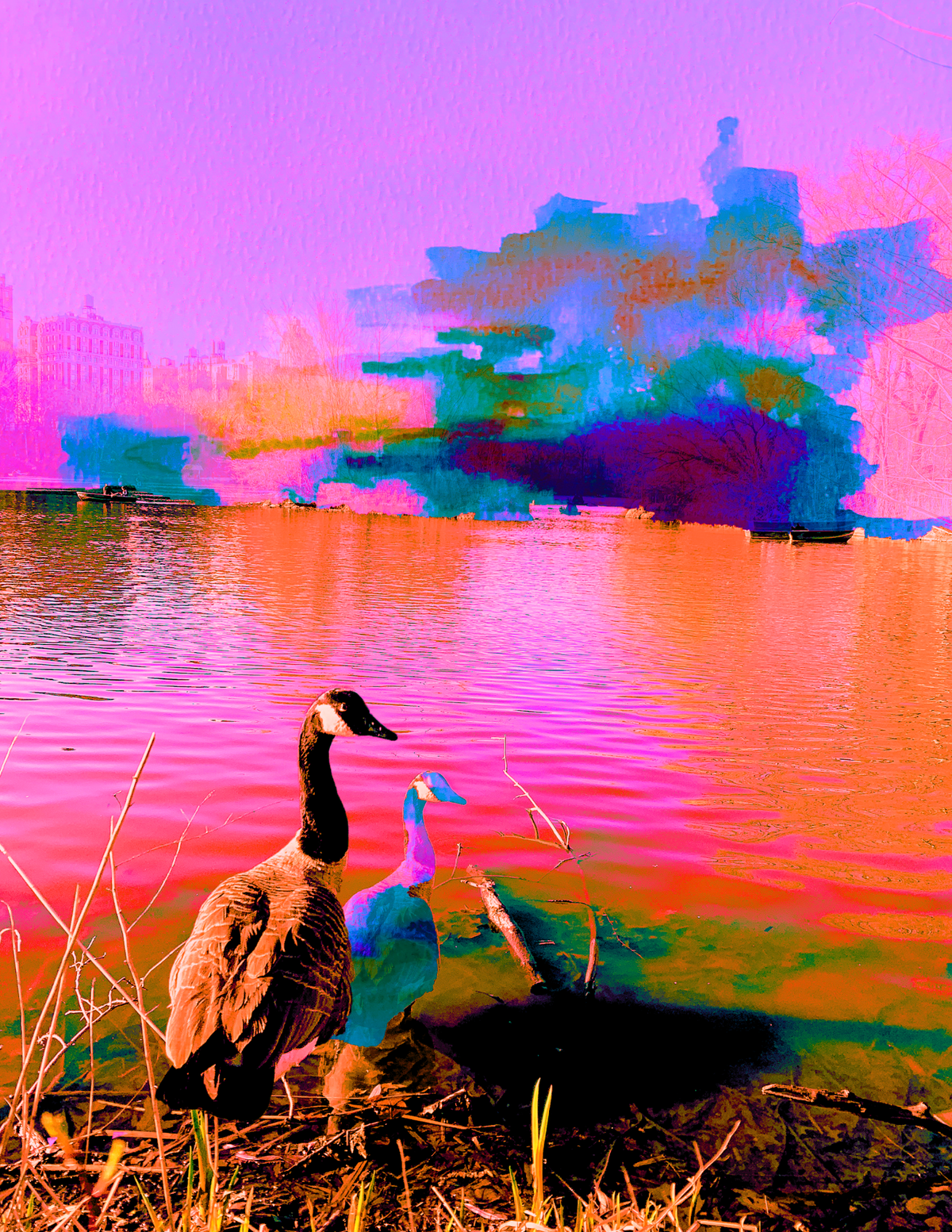 The Birds are Calm, Why Aren't I??