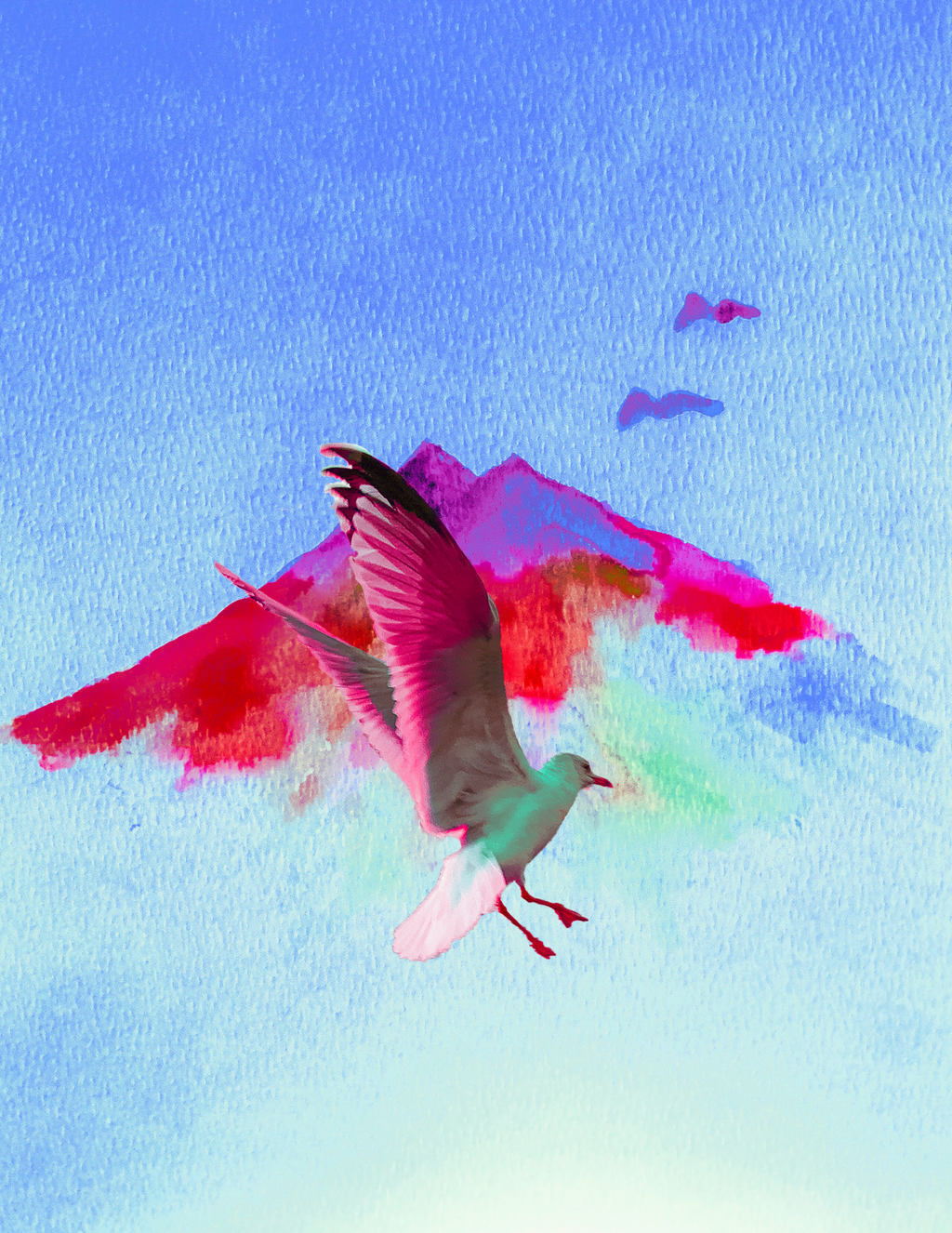 Birds Flying Highhhh